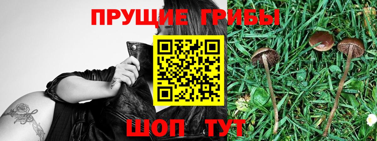 Майкоп  Галлюциногенные грибы Magic Shrooms  Вход с VPN  Галлюциногенные грибы Magic Shrooms 